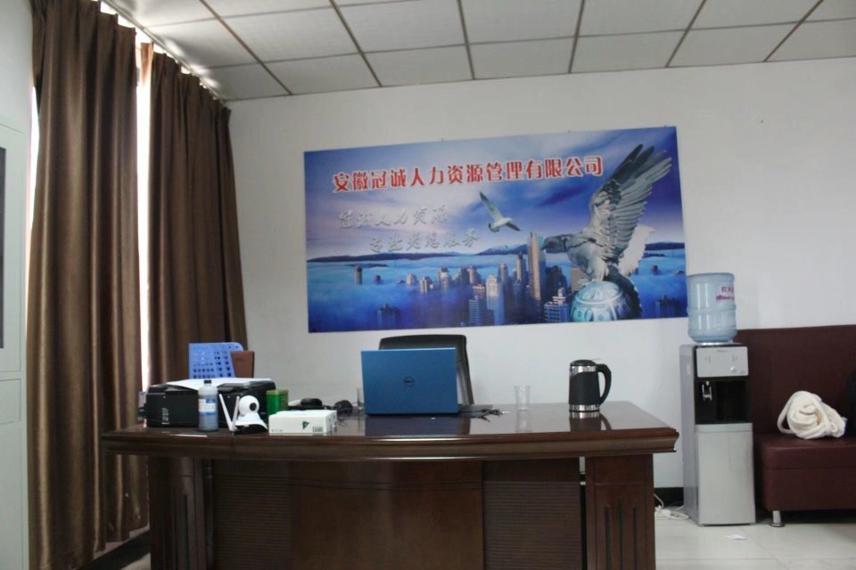 安徽冠誠人力資源管理-專業(yè)人力信息咨詢服務(wù)解讀
