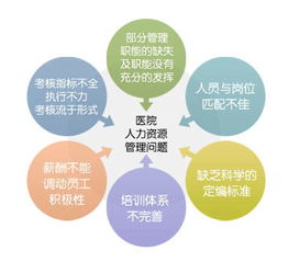 慧揚(yáng)咨詢 以人力洞察驅(qū)動醫(yī)院管理的智慧轉(zhuǎn)型