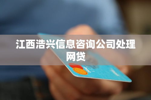 江西浩興信息咨詢公司 網(wǎng)貸處理與人力信息咨詢的專業(yè)服務(wù)解析